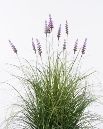 Artificial Grass 65*65*90cm Lavender  *11 in  pp  pot GS-61925055 2026Apr YeahFlower is one of Chinese leading OEM manufacturers and exporters , supplying the silk flowers, wholesale artificial trees