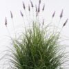 Artificial Grass 85*85*120cm Lavender  *15 in  pp  pot GS-61925054 2026Apr YeahFlower is one of Chinese leading OEM manufacturers and exporters , supplying the silk flowers, wholesale artificial trees