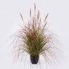 Artificial Grass 75*75*90cm Setaria viridis  *10  in  pp  pot GS-61925052 2026Apr YeahFlower is one of Chinese leading OEM manufacturers and exporters , supplying the silk flowers, wholesale artificial trees