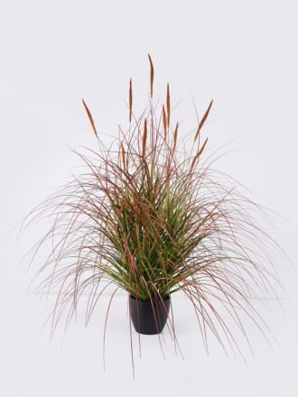 Artificial Grass 80*80*120cm Setaria viridis *15  in  pp  pot GS-61925051 2026Apr 3,000+ sqm showroom with thousands of artificial flowers, plants & trees ready for global sourcing.