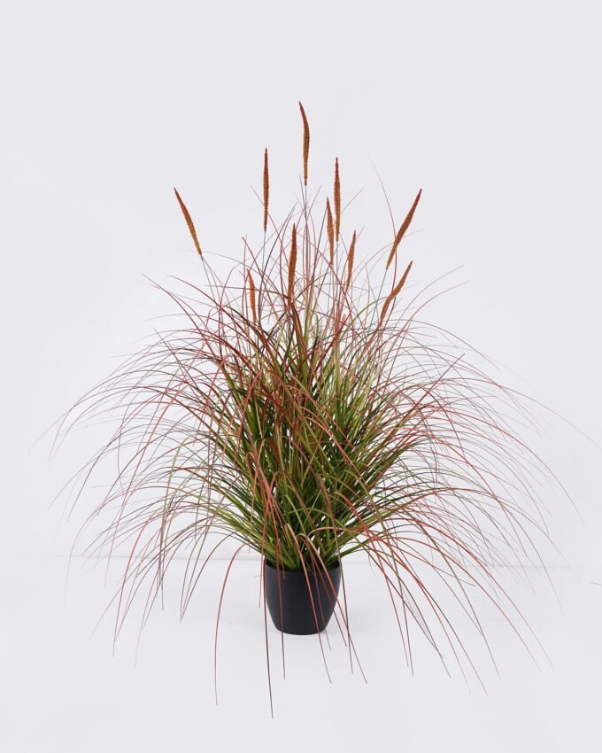 Artificial Grass 75*75*90cm Setaria viridis  *10  in  pp  pot GS-61925052 2026Apr YeahFlower is one of Chinese leading OEM manufacturers and exporters , supplying the silk flowers, wholesale artificial trees