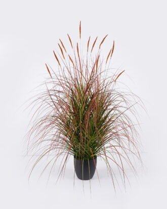 Artificial Grass 80*80*120cm Setaria viridis *15  in  pp  pot GS-61925051 2026Apr YeahFlower is one of Chinese leading OEM manufacturers and exporters , supplying the silk flowers, wholesale artificial trees