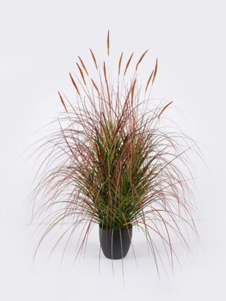 Artificial Grass 75*75*90cm Setaria viridis  *10  in  pp  pot GS-61925052 2026Apr 3,000+ sqm showroom with thousands of artificial flowers, plants & trees ready for global sourcing.