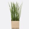 Artificial Plant 24CM grass in paper pot GS-4660067P12 2026Apr YeahFlower is one of Chinese leading OEM manufacturers and exporters , supplying the silk flowers, wholesale artificial trees