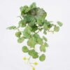 Artificial Plant 24*24*50cm Asiatic apple hanging GS-80425016 2026May 3,000+ sqm showroom with thousands of artificial flowers, plants & trees ready for global sourcing.