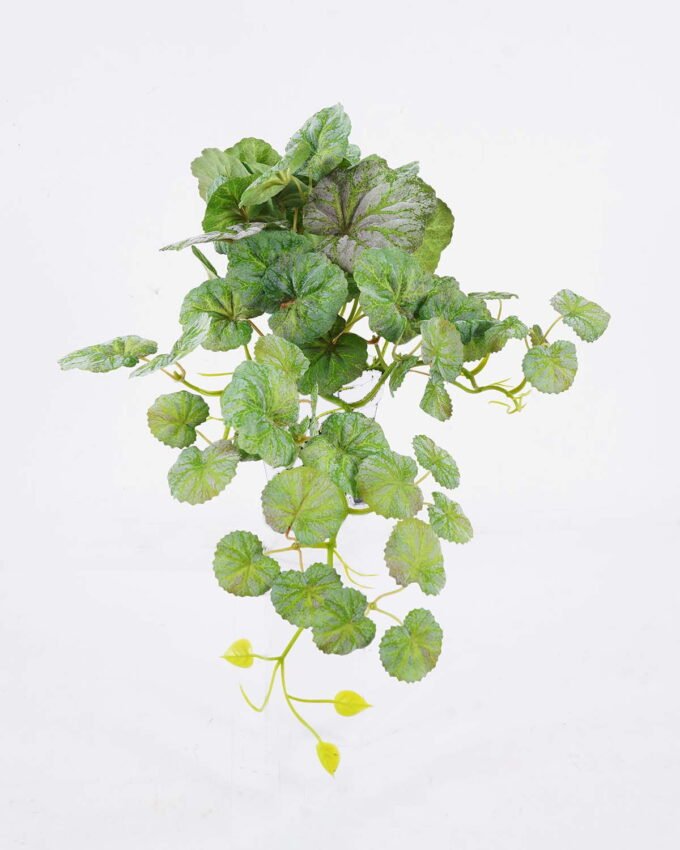 Artificial Plant 24*24*50cm Asiatic apple hanging GS-80425016 2026May 3,000+ sqm showroom with thousands of artificial flowers, plants & trees ready for global sourcing.