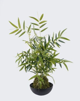 Artificial Plant 40*30*60cm Bamboo in PP pot/306 lvs GS-30625022 2026Apr YeahFlower is one of Chinese leading OEM manufacturers and exporters , supplying the silk flowers, wholesale artificial trees Artificial Plant 40*30*60cm Bamboo in PP pot/306 lvs GS-30625022 2026Apr YeahFlower is one of Chinese leading OEM manufacturers and exporters , supplying the silk flowers, wholesale artificial trees