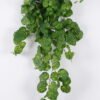 Artificial Plant 26*10*95cm Begonia hanging GS-67625003-G3 2026Apr YeahFlower is one of Chinese leading OEM manufacturers and exporters , supplying the silk flowers, wholesale artificial trees