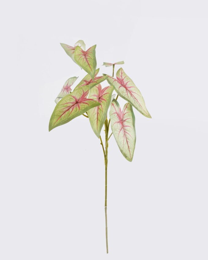 Artificial Plant 21*14*53cm Candleflower leaves *10 single stem GS-51625054-G3 2026Apr YeahFlower is one of Chinese leading OEM manufacturers and exporters , supplying the silk flowers, wholesale artificial trees