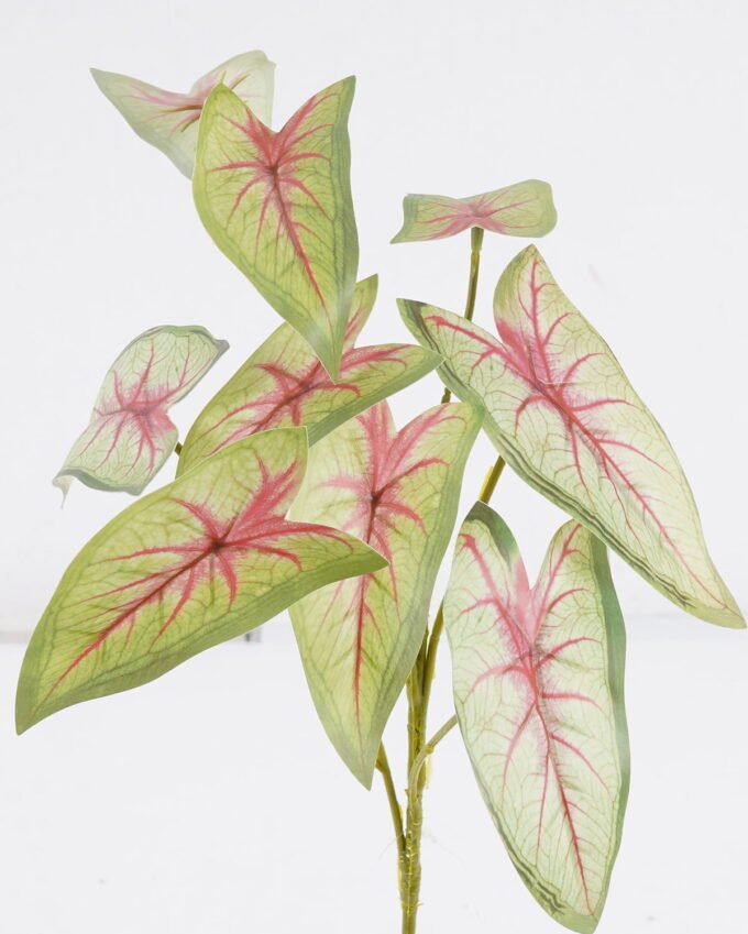 Artificial Plant 21*14*53cm Candleflower leaves *10 single stem GS-51625054-G3 2026Apr YeahFlower is one of Chinese leading OEM manufacturers and exporters , supplying the silk flowers, wholesale artificial trees