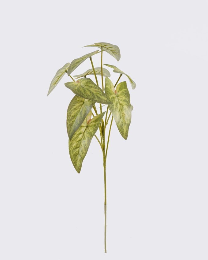Artificial Plant 21*14*53cm Candleflower leaves *10 single stem GS-51625054 2026Apr YeahFlower is one of Chinese leading OEM manufacturers and exporters , supplying the silk flowers, wholesale artificial trees
