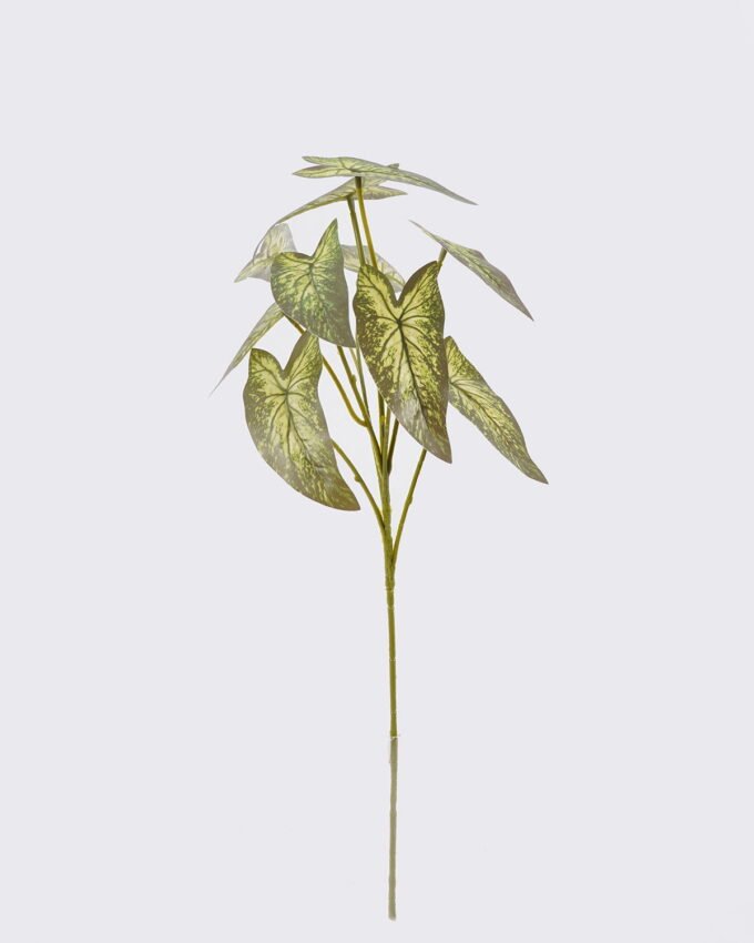Artificial Plant 21*14*53cm Candleflower leaves *10 single stem GS-51625054 2026Apr YeahFlower is one of Chinese leading OEM manufacturers and exporters , supplying the silk flowers, wholesale artificial trees