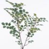 Artificial Plant 33*20*107cm Chinese loropetalum herb single stem GS-69425024 2026Apr YeahFlower is one of Chinese leading OEM manufacturers and exporters , supplying the silk flowers, wholesale artificial trees