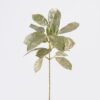 Artificial Plant 16*8*38cm Coral leaf single stem GS-15425086 2026Mar YeahFlower is one of Chinese leading OEM manufacturers and exporters , supplying the silk flowers, wholesale artificial trees