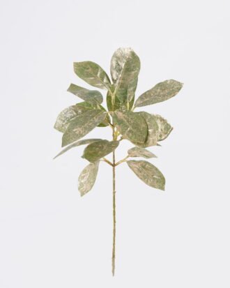 Artificial Plant 16*8*38cm Coral leaf single stem GS-15425086 2026Mar YeahFlower is one of Chinese leading OEM manufacturers and exporters , supplying the silk flowers, wholesale artificial trees Artificial Plant 16*8*38cm Coral leaf single stem GS-15425086 2026Mar YeahFlower is one of Chinese leading OEM manufacturers and exporters , supplying the silk flowers, wholesale artificial trees