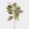 Artificial Plant 16*8*38cm Coral leaf single stem GS-15425086 2026Mar YeahFlower is one of Chinese leading OEM manufacturers and exporters , supplying the silk flowers, wholesale artificial trees