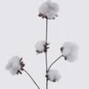 Artificial Plant 26*7*83cm Cotton stem S GS-53625014 2026Apr YeahFlower is one of Chinese leading OEM manufacturers and exporters , supplying the silk flowers, wholesale artificial trees