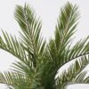 Artificial Plant 39*28*50cm Cycas revoluta  bush/11 lvs GS-70225006 2026Apr YeahFlower is one of Chinese leading OEM manufacturers and exporters , supplying the silk flowers, wholesale artificial trees