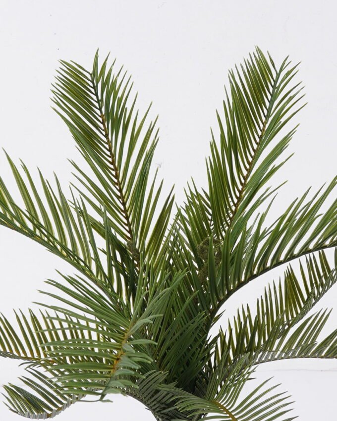 Artificial Plant 39*28*50cm Cycas revoluta  bush/11 lvs GS-70225006 2026Apr YeahFlower is one of Chinese leading OEM manufacturers and exporters , supplying the silk flowers, wholesale artificial trees