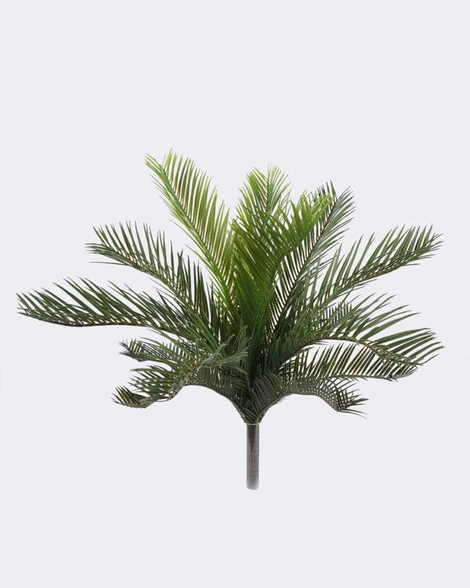 Artificial Plant 52*37*56cm Cycas revoluta  bush/15 lvs GS-70225007 2026Apr YeahFlower is one of Chinese leading OEM manufacturers and exporters , supplying the silk flowers, wholesale artificial trees