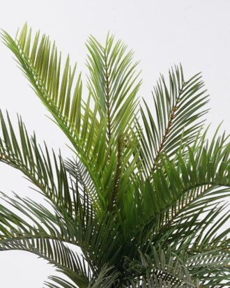 Artificial Plant 52*37*56cm Cycas revoluta  bush/15 lvs GS-70225007 2026Apr YeahFlower is one of Chinese leading OEM manufacturers and exporters , supplying the silk flowers, wholesale artificial trees