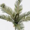 Artificial Plant 36*26*35cm Cycas revoluta  bush/6 lvs GS-70225004 2026Apr YeahFlower is one of Chinese leading OEM manufacturers and exporters , supplying the silk flowers, wholesale artificial trees
