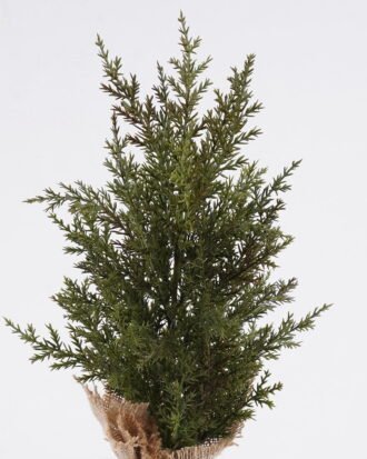 Artificial Plant 12*8*35cm  Cypress  Artificial tree in burlap wrap GS-54025041 2026Apr YeahFlower is one of Chinese leading OEM manufacturers and exporters , supplying the silk flowers, wholesale artificial trees