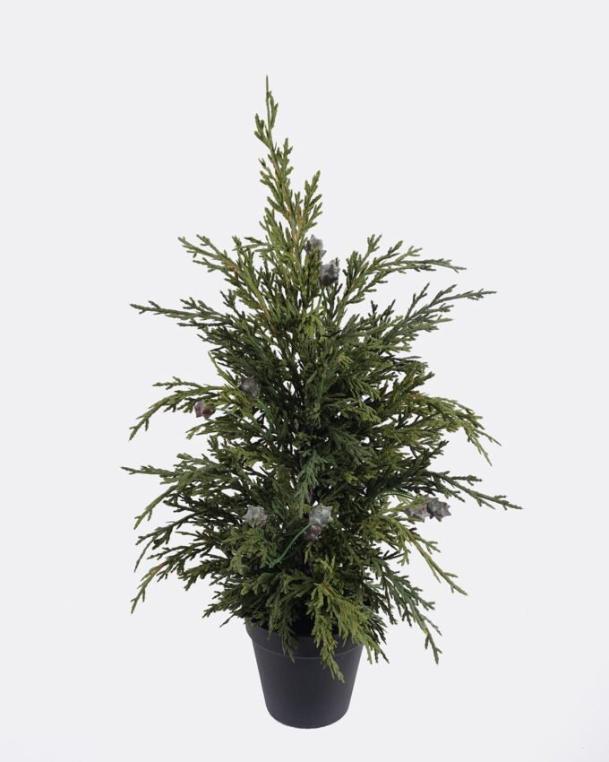 Artificial Plant 20*20*46cm Cypress Leaf in PP pot GS-82825041 2026Feb YeahFlower is one of Chinese leading OEM manufacturers and exporters , supplying the silk flowers, wholesale artificial trees