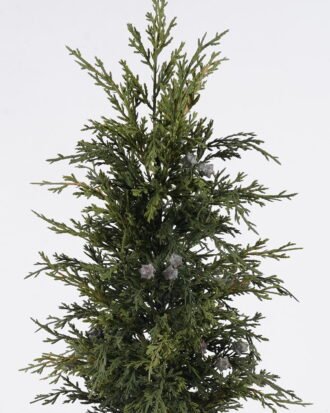 Artificial Plant 30*23*61cm Cypress Leaf in PP pot GS-82825042 2026Feb YeahFlower is one of Chinese leading OEM manufacturers and exporters , supplying the silk flowers, wholesale artificial trees