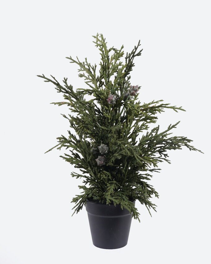 Artificial Plant 23*23*41cm Cypress Leaf in PP pot GS-82825046 2026Feb YeahFlower is one of Chinese leading OEM manufacturers and exporters , supplying the silk flowers, wholesale artificial trees