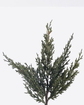 Artificial Plant 15*4*38cm Cypress single stem GS-82825091KIK 2026Feb YeahFlower is one of Chinese leading OEM manufacturers and exporters , supplying the silk flowers, wholesale artificial trees Artificial Plant 15*4*38cm Cypress single stem GS-82825091KIK 2026Feb YeahFlower is one of Chinese leading OEM manufacturers and exporters , supplying the silk flowers, wholesale artificial trees