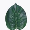 Artificial Plant 18*60cm Epipremnum aureum Single stem GS-17725113 2026Mar YeahFlower is one of Chinese leading OEM manufacturers and exporters , supplying the silk flowers, wholesale artificial trees