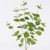 Artificial Plant 20*7*69cm Eucalyptus *6 single stem GS-67625009 2026Apr YeahFlower is one of Chinese leading OEM manufacturers and exporters , supplying the silk flowers, wholesale artificial trees