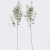 Artificial Plant Eucalyptus single stem GS-82125006_2 Artificial Plant 15*5*90cm Eucalyptus single stem GS-82125006 2026May 3,000+ sqm showroom with thousands of artificial flowers, plants & trees ready for global sourcing.