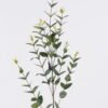 Artificial Plant Eucalyptus single stem GS-82125006_3 Artificial Plant 15*5*90cm Eucalyptus single stem GS-82125006 2026May 3,000+ sqm showroom with thousands of artificial flowers, plants & trees ready for global sourcing.