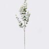 Artificial Plant Eucalyptus single stem GS-82125006_4 Artificial Plant 15*5*90cm Eucalyptus single stem GS-82125006 2026May 3,000+ sqm showroom with thousands of artificial flowers, plants & trees ready for global sourcing.