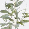 Artificial Plant Eucalyptus single stem GS-82125007_4 Artificial Plant 30*12*100cm Eucalyptus single stem GS-82125007 2026May 3,000+ sqm showroom with thousands of artificial flowers, plants & trees ready for global sourcing.