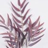Artificial Plant Eucalyptus single stem GS-82125012-Z1_8 Artificial Plant 23*8*120cm Eucalyptus single stem GS-82125012-Z1 2026May 3,000+ sqm showroom with thousands of artificial flowers, plants & trees ready for global sourcing.