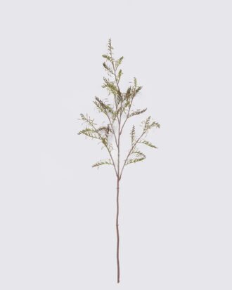 Artificial Plant 40*6*150cm Fern single stem GS-15425052 2026Mar YeahFlower is one of Chinese leading OEM manufacturers and exporters , supplying the silk flowers, wholesale artificial trees Artificial Plant 40*6*150cm Fern single stem GS-15425052 2026Mar YeahFlower is one of Chinese leading OEM manufacturers and exporters , supplying the silk flowers, wholesale artificial trees