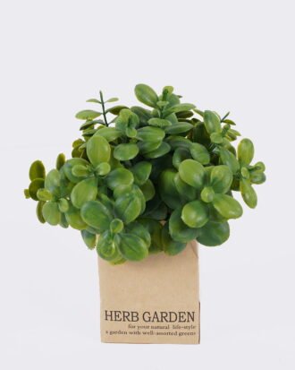 Artificial Plant 15*15*15CM Grass in paper pot GS-46625002 2026Apr YeahFlower is one of Chinese leading OEM manufacturers and exporters , supplying the silk flowers, wholesale artificial trees