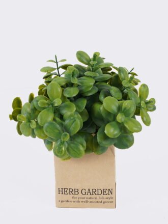 Artificial Plant 12*12*19CM Grass in paper pot GS-46625003-G1 2026Apr 3,000+ sqm showroom with thousands of artificial flowers, plants & trees ready for global sourcing.