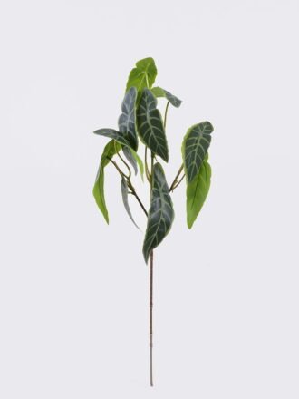 Artificial Plant 21*14*53cm Candleflower leaves *10 single stem GS-51625054 2026Apr 3,000+ sqm showroom with thousands of artificial flowers, plants & trees ready for global sourcing.