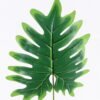 Artificial Plant 20*60cm Leaf Single stem GS-17725112 2026Mar YeahFlower is one of Chinese leading OEM manufacturers and exporters , supplying the silk flowers, wholesale artificial trees