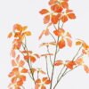 Artificial Plant Leaf single stem GS-82125005-O2_4 Artificial Plant 23*10*110cm Leaf single stem GS-82125005-O2 2026May 3,000+ sqm showroom with thousands of artificial flowers, plants & trees ready for global sourcing.