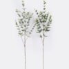 Artificial Plant Leaf single stem GS-82125017CT_2 Artificial Plant 16*10*94cm Leaf single stem GS-82125017CT 2026May 3,000+ sqm showroom with thousands of artificial flowers, plants & trees ready for global sourcing.