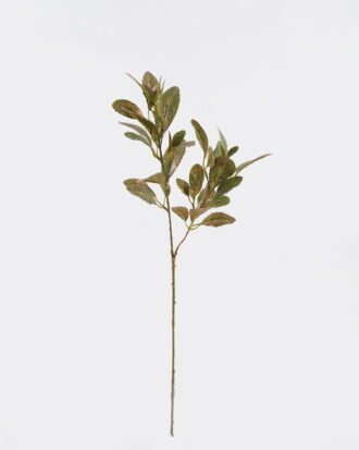 Artificial Plant 10*8*72cm Lemon leaf *2 single stem GS-15425087 2026Mar YeahFlower is one of Chinese leading OEM manufacturers and exporters , supplying the silk flowers, wholesale artificial trees Artificial Plant 10*8*72cm Lemon leaf *2 single stem GS-15425087 2026Mar YeahFlower is one of Chinese leading OEM manufacturers and exporters , supplying the silk flowers, wholesale artificial trees