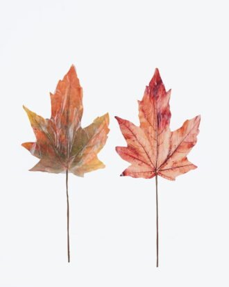 Artificial Plant 23*2*56cm Maple leaf single stem GS-15425099CT 2026Mar YeahFlower is one of Chinese leading OEM manufacturers and exporters , supplying the silk flowers, wholesale artificial trees Artificial Plant 23*2*56cm Maple leaf single stem GS-15425099CT 2026Mar YeahFlower is one of Chinese leading OEM manufacturers and exporters , supplying the silk flowers, wholesale artificial trees