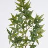 Artificial Plant Maple leaf single stem GS-51625040_2 Artificial Plant 28*5*100cm Maple leaf single stem GS-51625040 2026Apr YeahFlower is one of Chinese leading OEM manufacturers and exporters , supplying the silk flowers, wholesale artificial trees