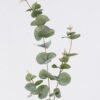 Artificial Plant Money Leaf single stem GS-82125003_3 Artificial Plant 10*7*90cm Money Leaf single stem GS-82125003 2026May 3,000+ sqm showroom with thousands of artificial flowers, plants & trees ready for global sourcing.
