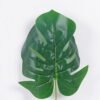 Artificial Plant 20*58cm Monstera deliciosa Single stem GS-17725115 2026Mar YeahFlower is one of Chinese leading OEM manufacturers and exporters , supplying the silk flowers, wholesale artificial trees